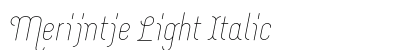 Merijntje Light Italic preview