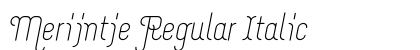 Merijntje Regular Italic Preview