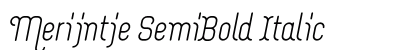 Merijntje SemiBold Italic Preview