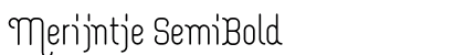 Merijntje SemiBold Preview