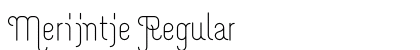 Merijntje Regular Preview
