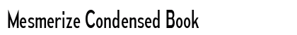 Mesmerize Condensed Book Preview