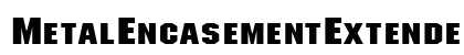 MetalEncasementExtended Regular preview