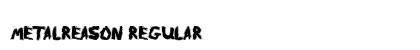 MetalReason Regular preview
