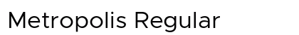 Metropolis Regular Preview