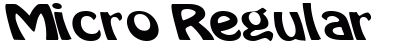 Micro Regular Preview