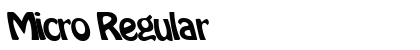 Micro Regular Preview