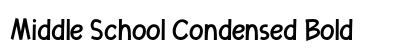 Middle School Condensed Bold Preview