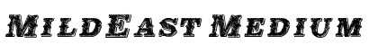 MildEast Medium preview
