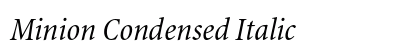 Minion Condensed Italic Preview