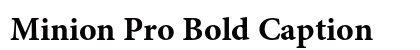 Minion Pro Bold Caption Preview