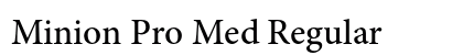 Minion Pro Med Regular preview
