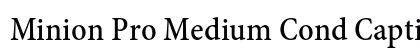 Minion Pro Medium Cond Caption Preview