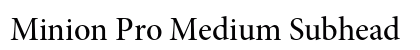 Minion Pro Medium Subhead Preview