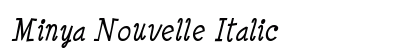 Minya Nouvelle Italic Preview