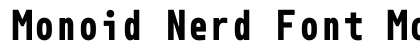 Monoid Nerd Font Mono Bold preview