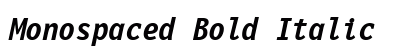 Monospaced Bold Italic Preview