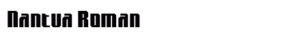 Nantua Roman preview