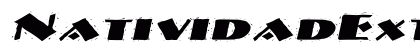 NatividadExtended Italic preview