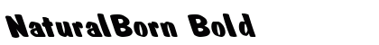NaturalBorn Bold preview