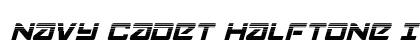Navy Cadet Halftone Italic Italic preview