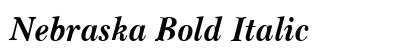 Nebraska Bold Italic preview