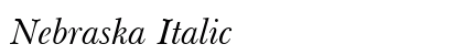 Nebraska Italic Preview