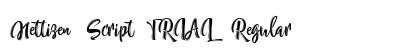 Nettizen Script_TRIAL Regular preview