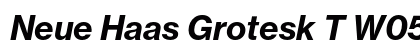 Neue Haas Grotesk T W0576 Bold Italic preview