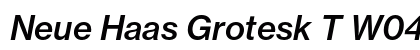 Neue Haas Grotesk T W0466 Italic preview
