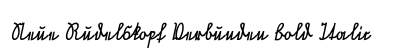 Neue Rudelskopf Verbunden Bold Italic preview