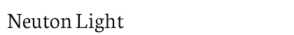 Neuton Light preview