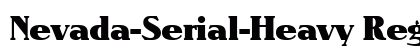 Nevada-Serial-Heavy Regular preview
