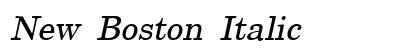 New Boston Italic Preview