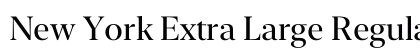 New York Extra Large Regular Preview