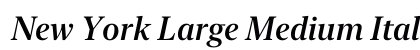 New York Large Medium Italic Preview