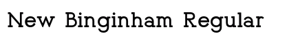 New Binginham Regular Preview