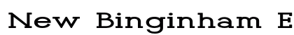 New Binginham Extra-expanded Regular Preview