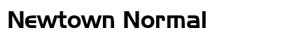 Newtown Normal Preview