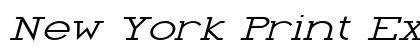 New York Print Expanded Italic Preview