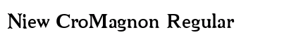 Niew CroMagnon Regular preview