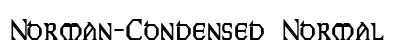 Norman-Condensed Normal preview