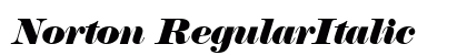 Norton RegularItalic preview