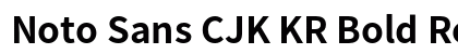 Noto Sans CJK KR Bold Regular preview