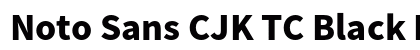 Noto Sans CJK TC Black Regular preview