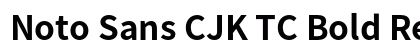 Noto Sans CJK TC Bold Regular preview