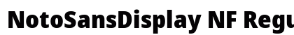 NotoSansDisplay NF Regular preview