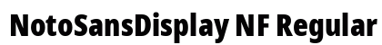 NotoSansDisplay NF Regular preview