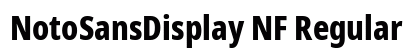 NotoSansDisplay NF Regular preview