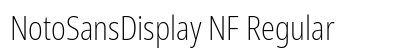 NotoSansDisplay NF Regular preview